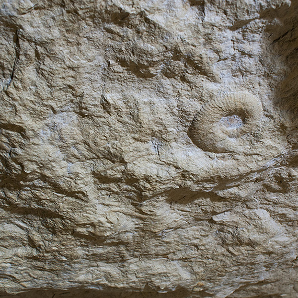 Carrière souterraine de calcaire