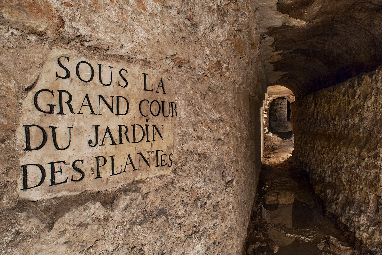 Sous la grand cour du Jardin des Plantes