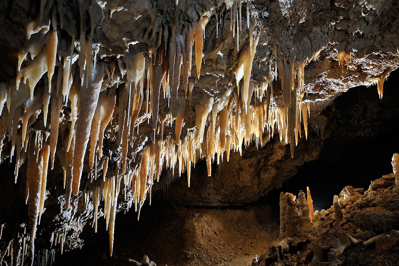 Stalagmites, Antre de vénus, Massif du Vercors
