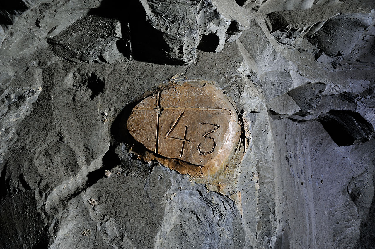 Numéro 43