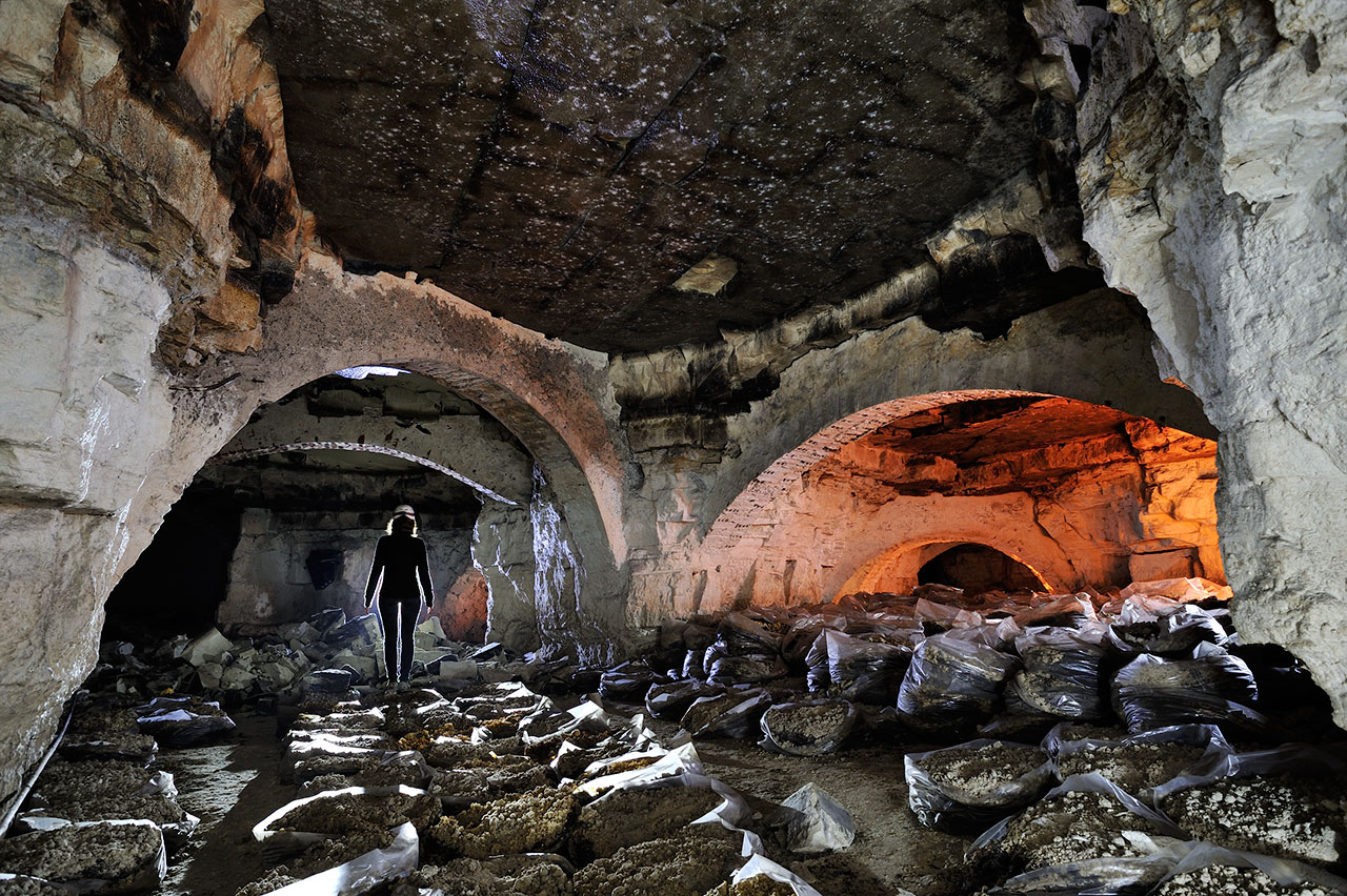 Croisement des arches