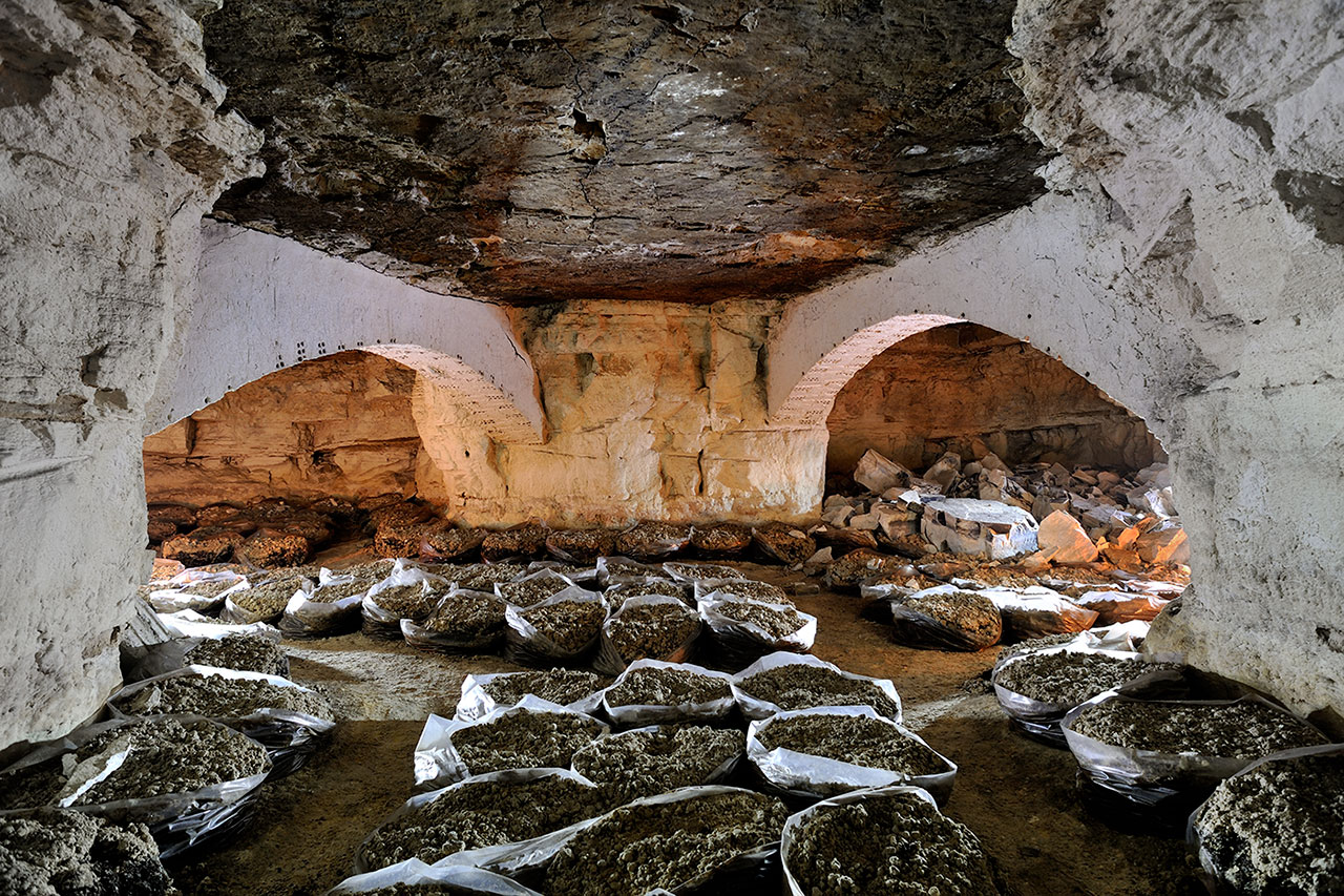Arches et sacs