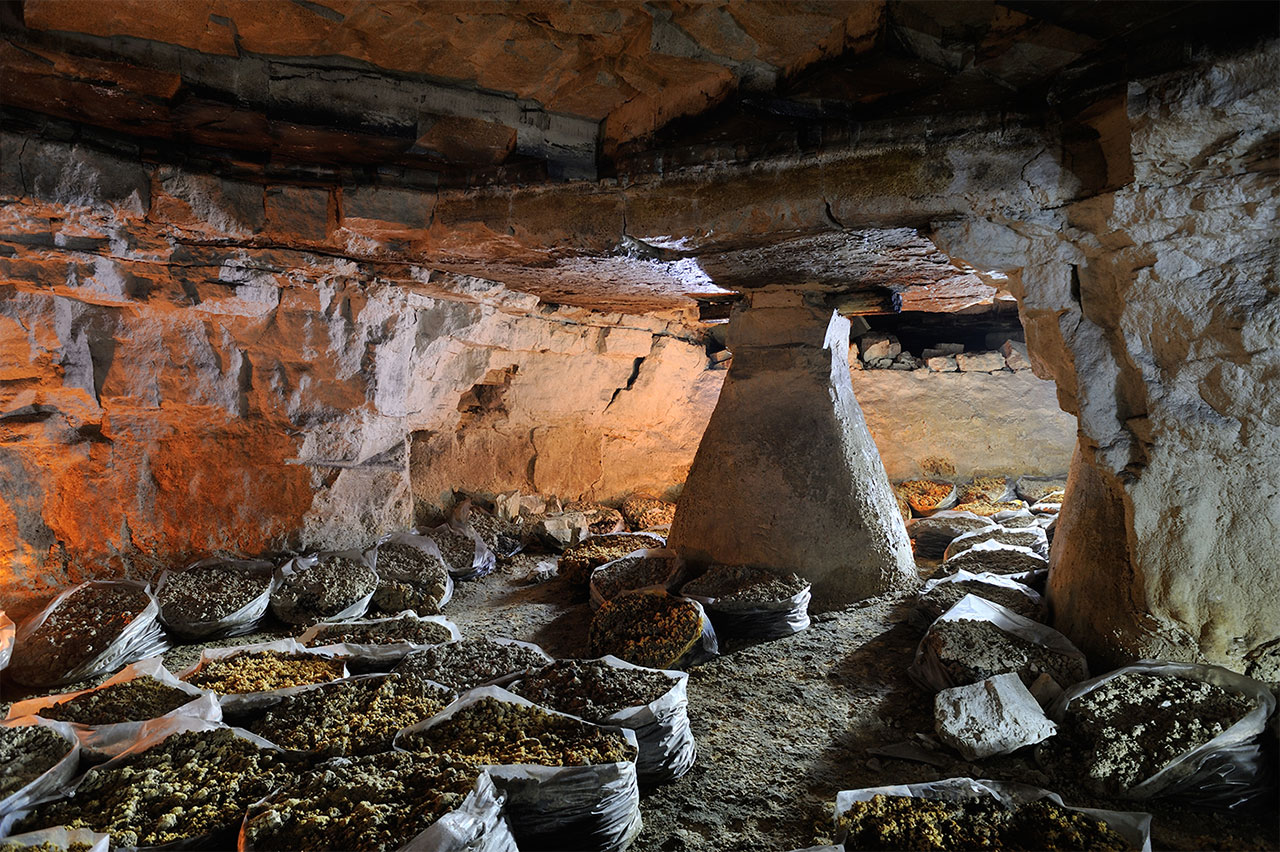 Pilier et champignonnière en sacs