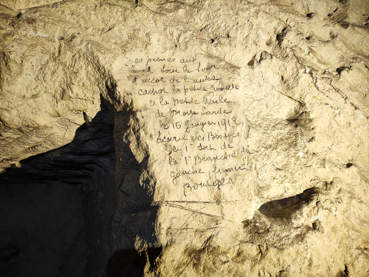 Inscriptions champignonnistes - carrière de tuffeau.