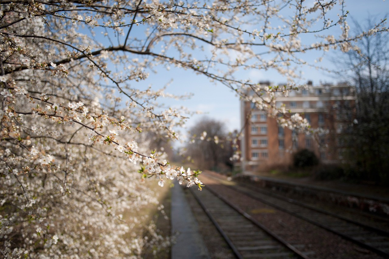 Petite ceinture, Paris 12e
