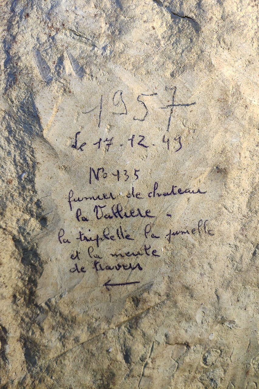 Fumier de Château la Vallière et la meule de travers.